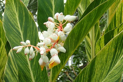 f0203094_8491840.jpg
