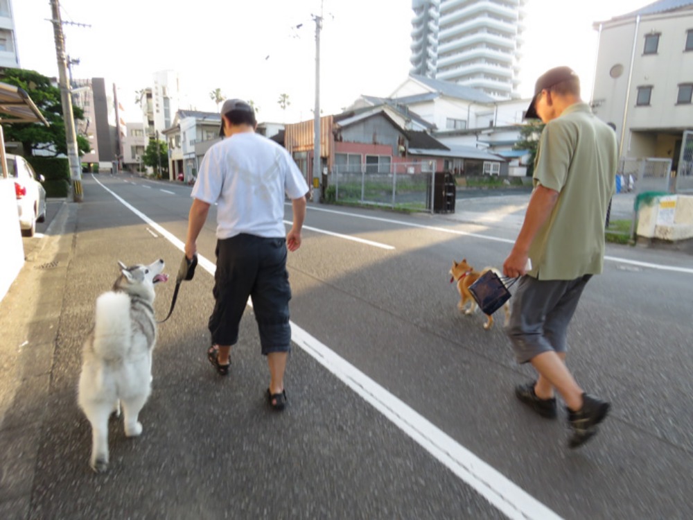 朝焼猫柴 (^o^)_c0049299_2310297.jpg