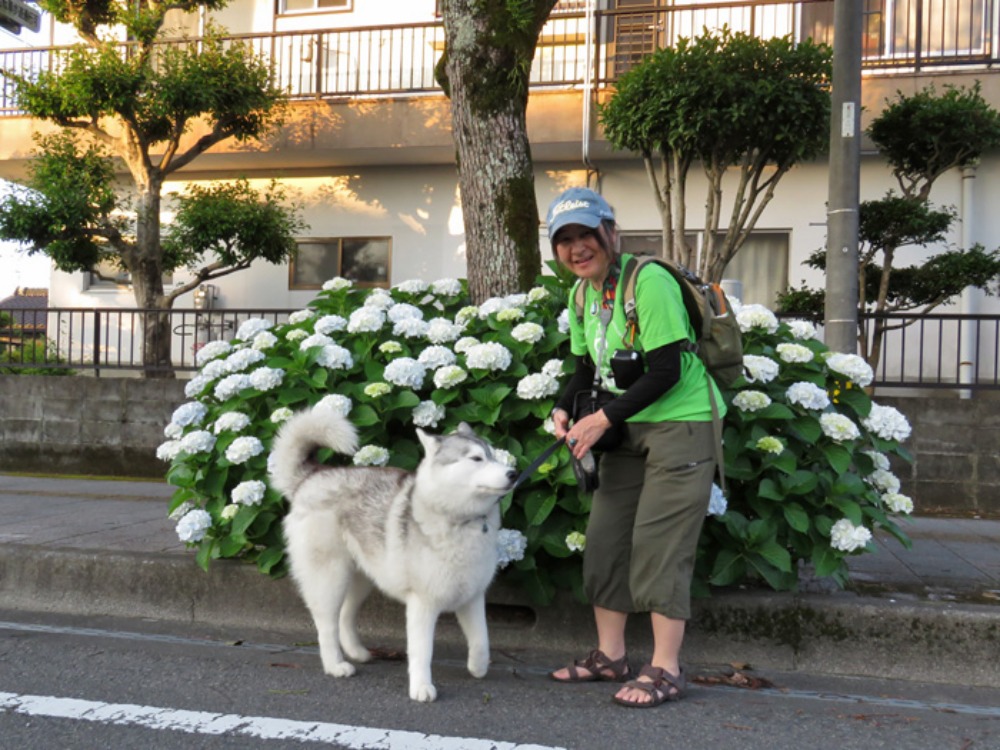 朝焼猫柴 (^o^)_c0049299_2311197.jpg