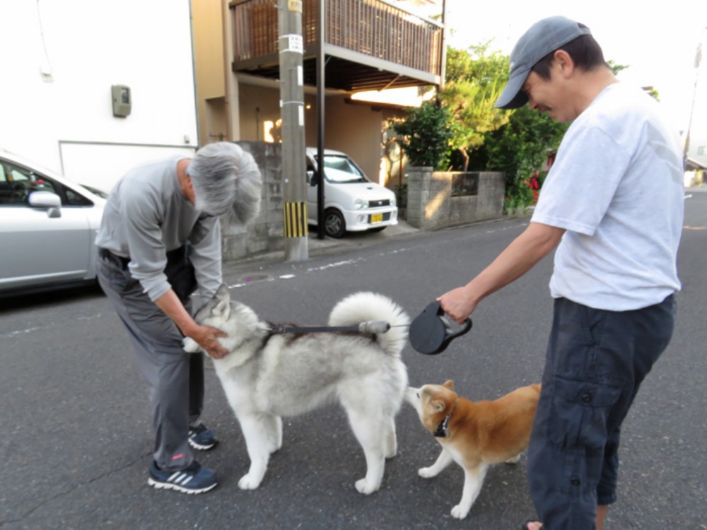 朝焼猫柴 (^o^)_c0049299_2344698.jpg