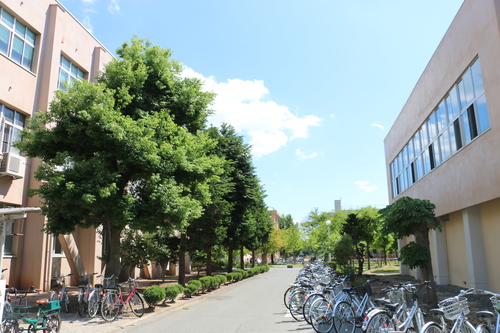 山形大学小白川キャンパス風景 ３ 米沢より愛をこめて