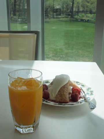スノードロップを見に北海道へ･･･････その５_b0331802_09204111.jpg