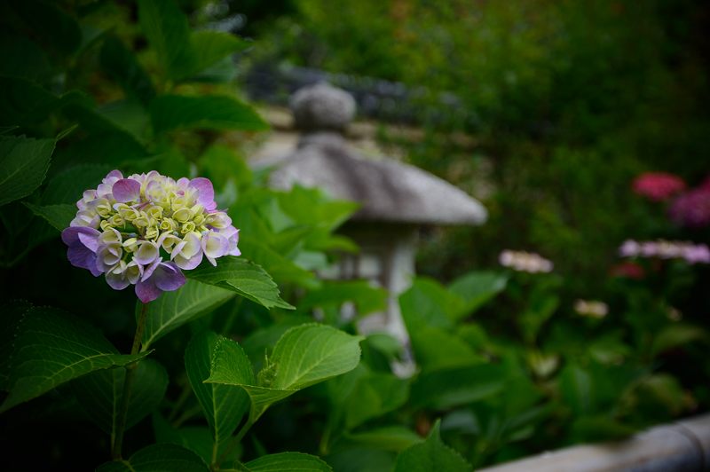 f0032011_19454584.jpg