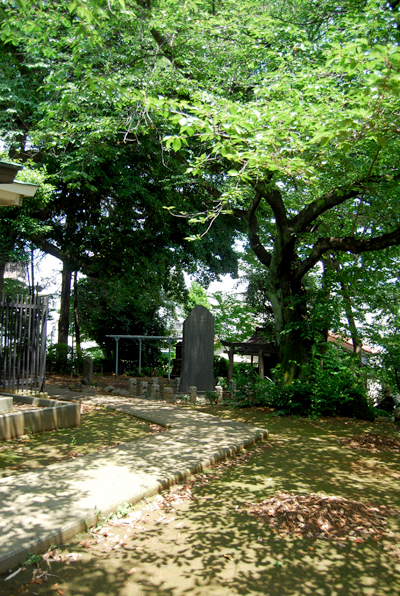 d0113613_16135570.jpg