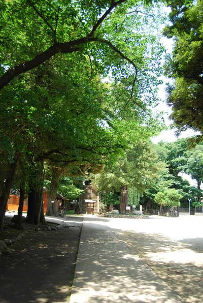 d0113613_1634258.jpg