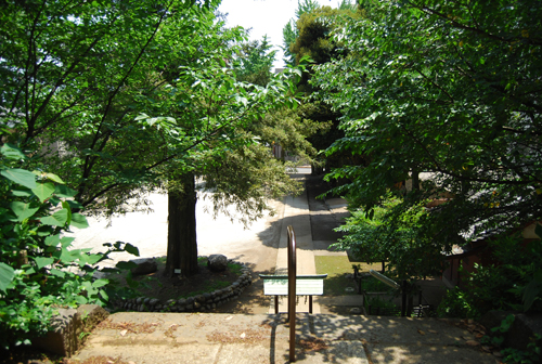 d0113613_16362243.jpg