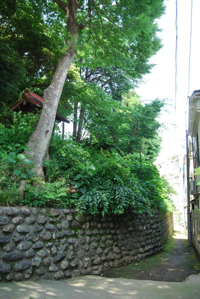d0113613_16412915.jpg