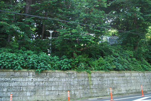 d0113613_164383.jpg