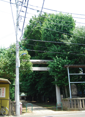 d0113613_16513866.jpg