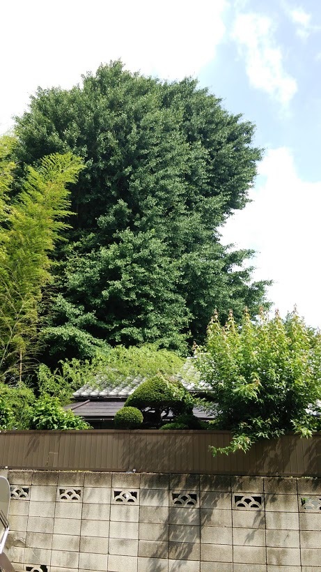 b0228416_18474575.jpg