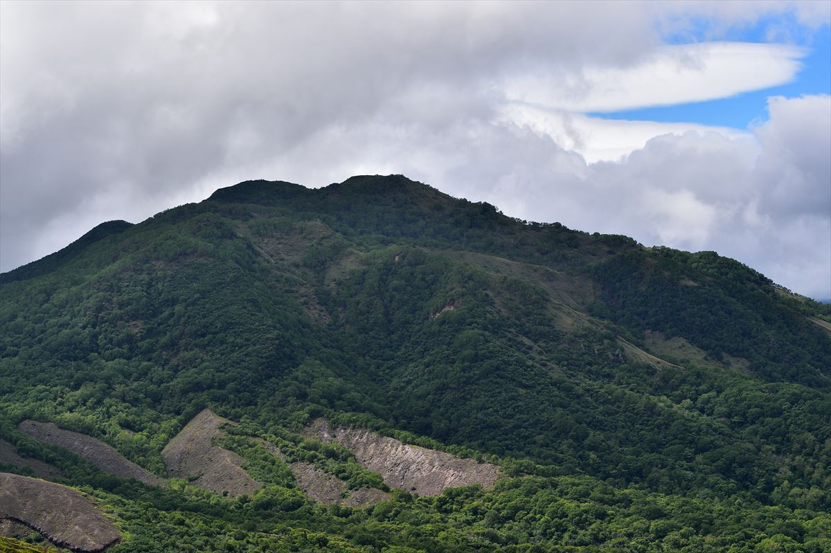 樽前山　～花見と鳥見～　2015.6.10_a0145819_2253453.jpg