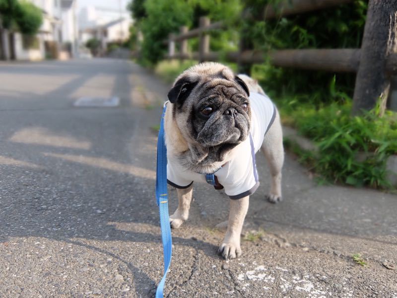 【平凡な日常】_f0128821_23491710.jpg