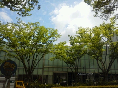 c0076939_212251.jpg