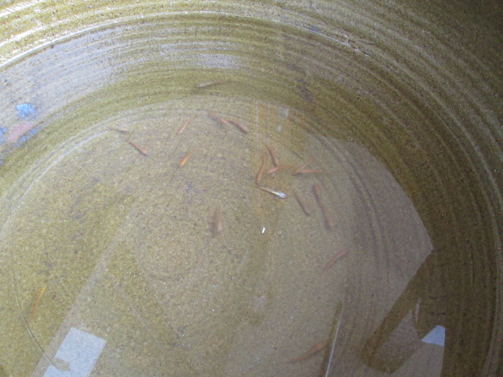 c0306845_0592017.jpg