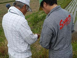 若手農業者を対象に稲の現地検討会を開催～風の塾・角田市農業経営者会議～_d0247345_85327.jpg