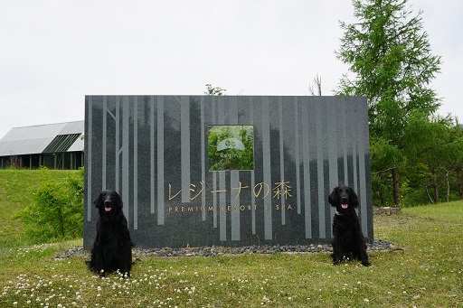f0107145_23122441.jpg