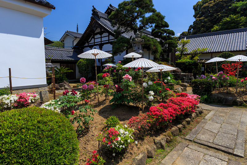 當麻寺・護念院の花景色_f0155048_0232796.jpg