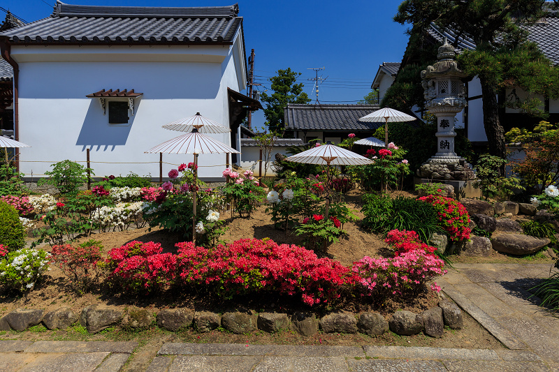 當麻寺・護念院の花景色_f0155048_0233619.jpg