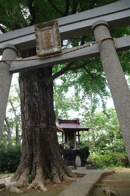 c0080357_21172353.jpg