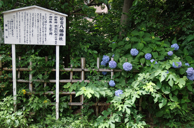 c0080357_21173475.jpg