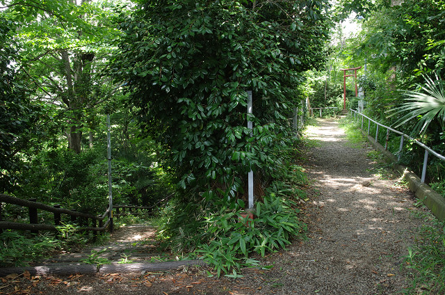 c0080357_2117729.jpg
