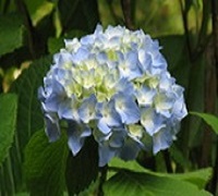 f0228073_10331350.jpg