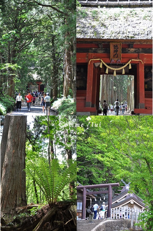 善光寺御開帳_a0192475_9325737.jpg