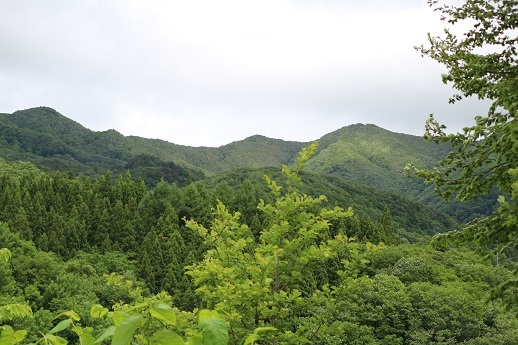 c0337990_09001527.jpg