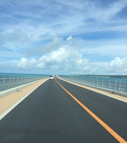 b0035391_12421377.jpg