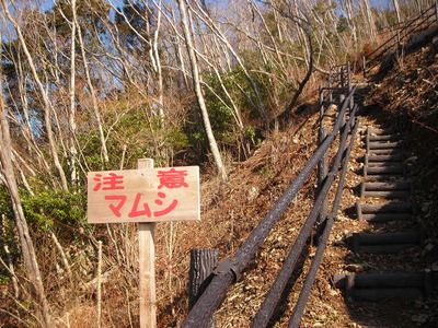 f0308898_188218.jpg