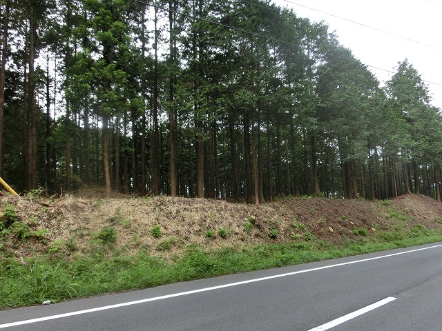 美しい道路景観が楽しめるようになりつつあります　「富士山世界文化遺産森林景観整備事業」_f0141310_7275112.jpg