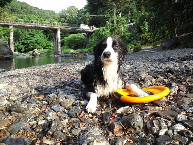 d0224111_23101779.jpg
