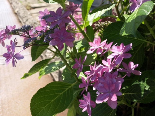 c0247614_8353464.jpg