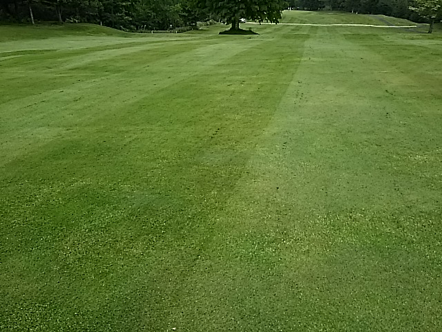 f0227321_2240778.jpg