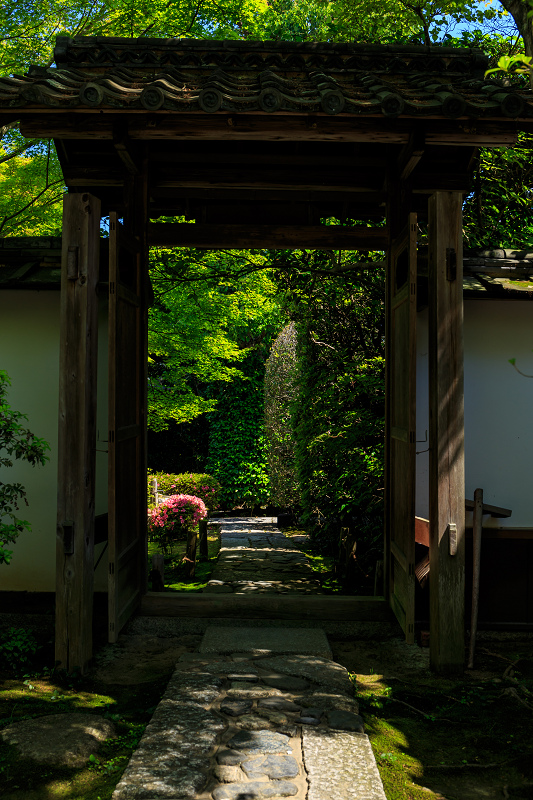 サツキの金福寺_f0155048_0142547.jpg