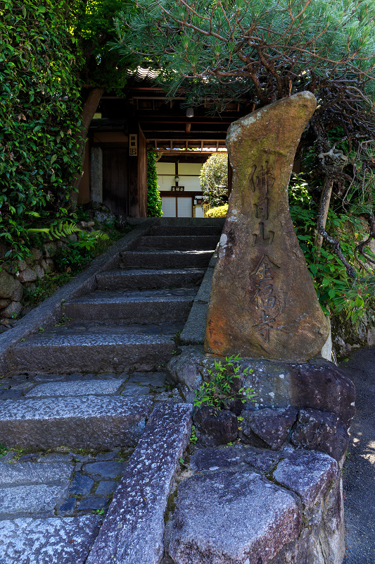 サツキの金福寺_f0155048_08313.jpg