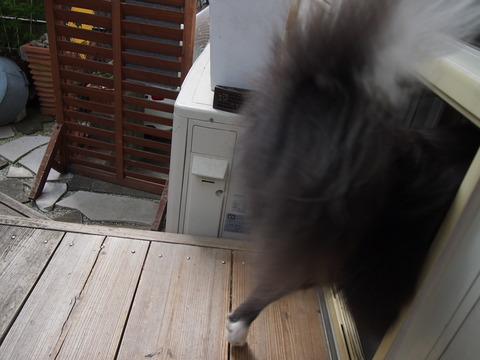 b0268454_093555.jpg