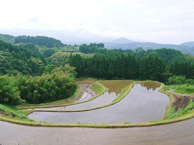 菊池水源棚田米 菊池水源の良かぁ~水に負けん田んぼにするばい!田植えの様子2015_a0254656_17125121.jpg