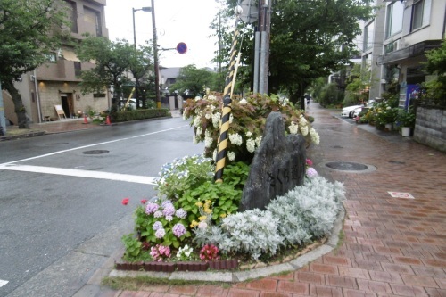 梅雨時はアジサイ通り_f0205367_17331088.jpg