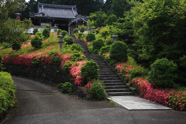 善峯寺_e0051888_694890.jpg