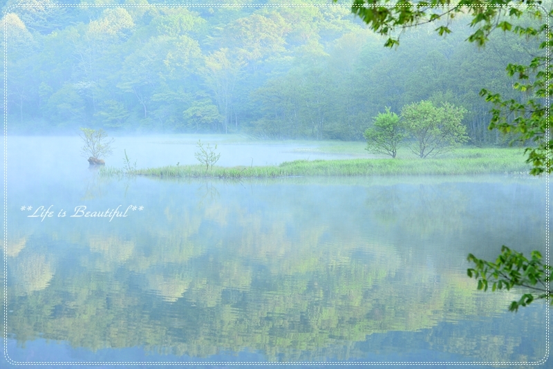 夜明けの戸隠　鏡池♪_c0156789_16510104.jpg