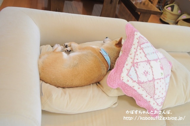 親の背中_a0126590_05523869.jpg