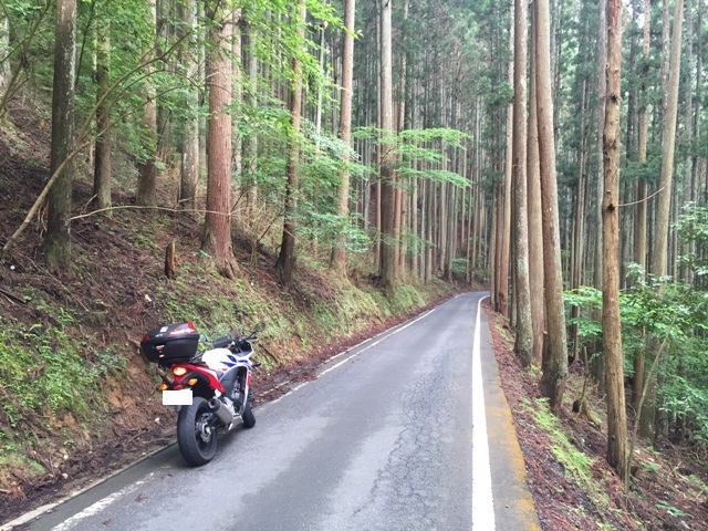 e0003097_12206.jpg