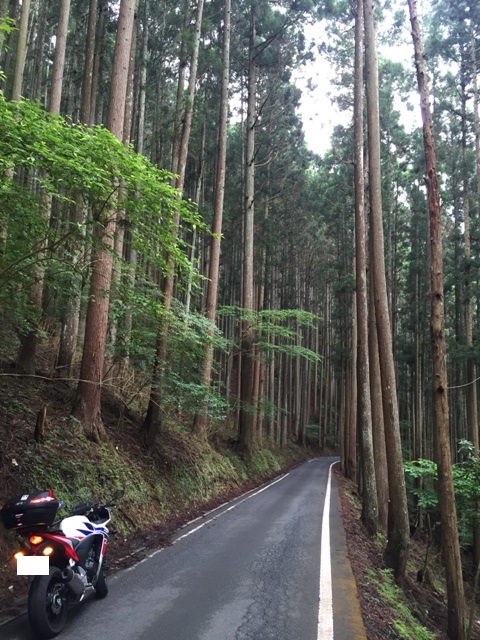 e0003097_12465.jpg