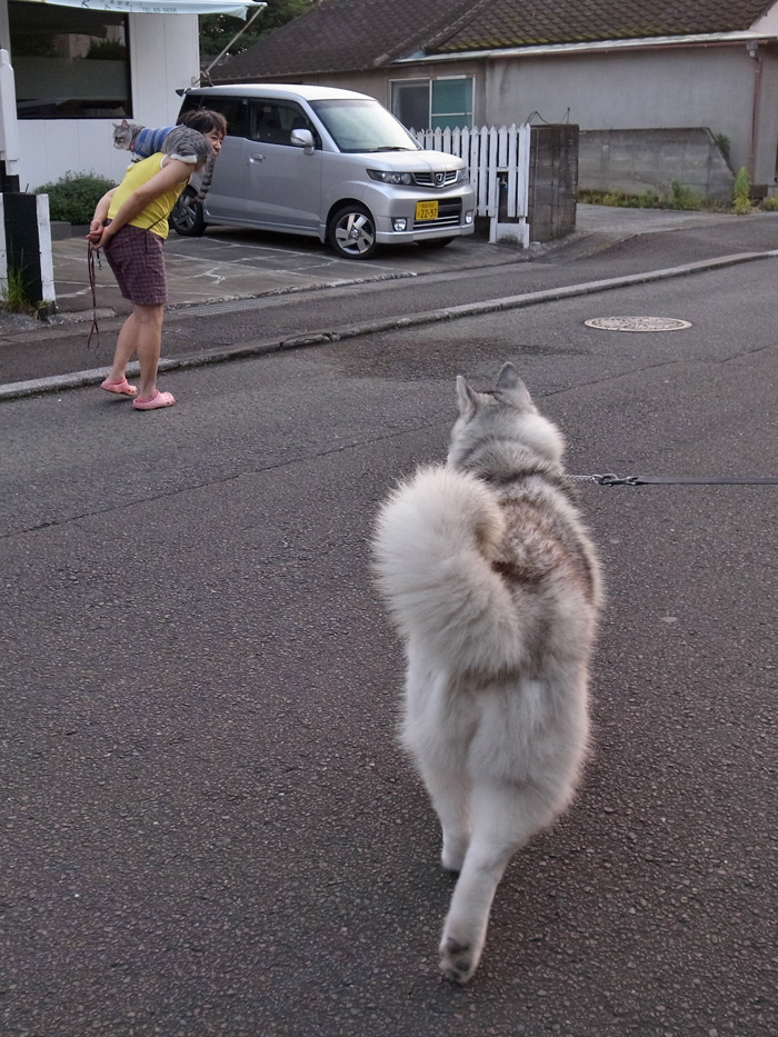 駆け寄るはなちゃん（≧∇≦）_c0049299_22563079.jpg