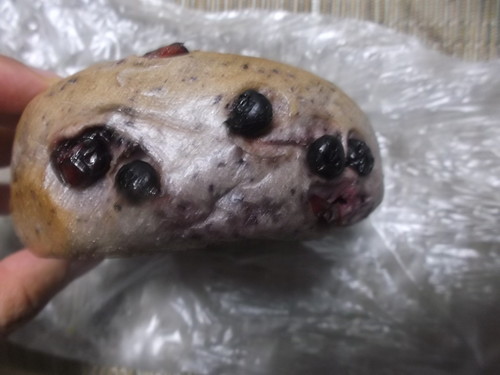 どんぐり ブルーベリー_f0076001_22471442.jpg