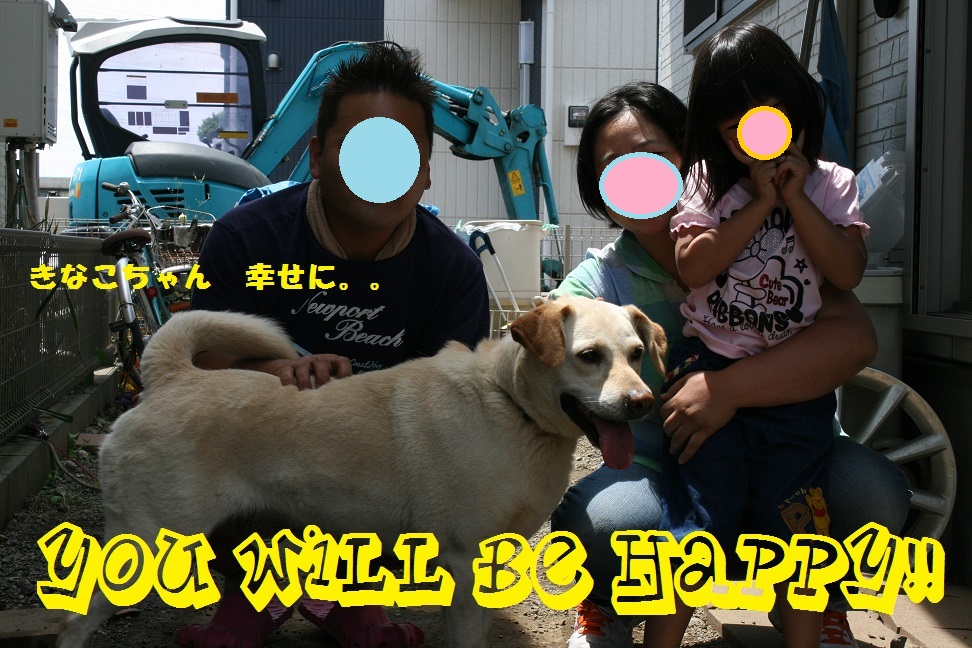 きなこちゃん・・里親さま決まりました!_f0242002_1144236.jpg