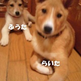 真っ白なあんこです_f0242002_14151962.jpg