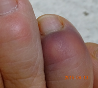 b0031710_07325641.png
