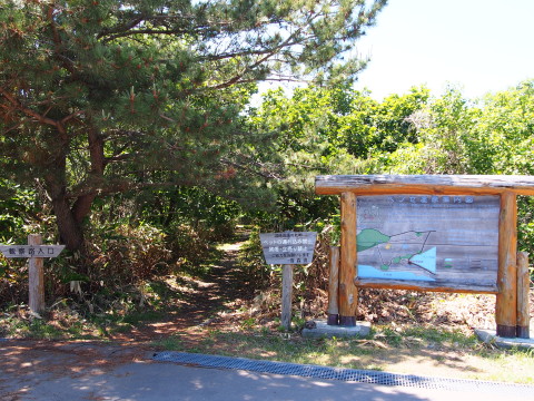 b0147224_2015958.jpg
